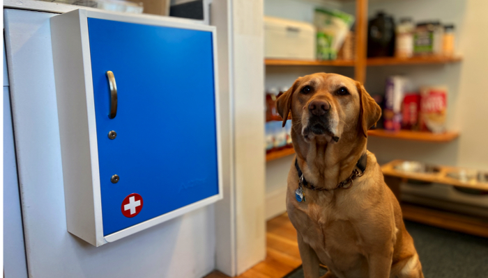 Ipo in front of the medication cabinet