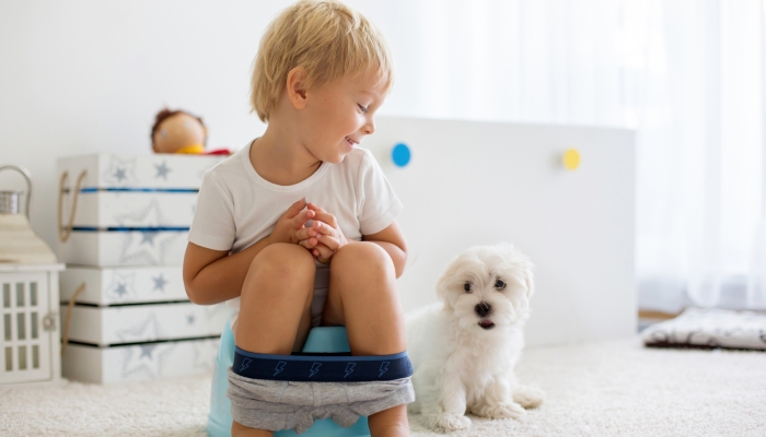 Blond toddler child, using potty at home, little pet maltese dog lying next to him.
