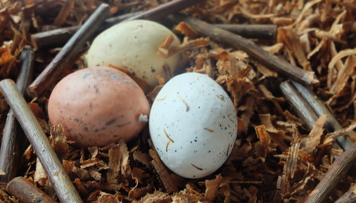 Birds and nests sensory table idea.