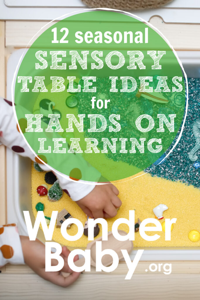 12 Seasonal Sensory Table Ideas for Hands on Learning 