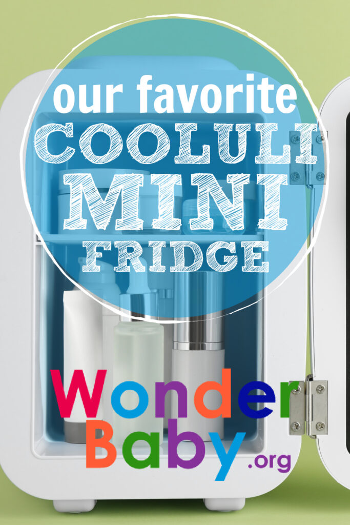 Cooluli Mini Fridge Review: Our Favorite Mini Fridge