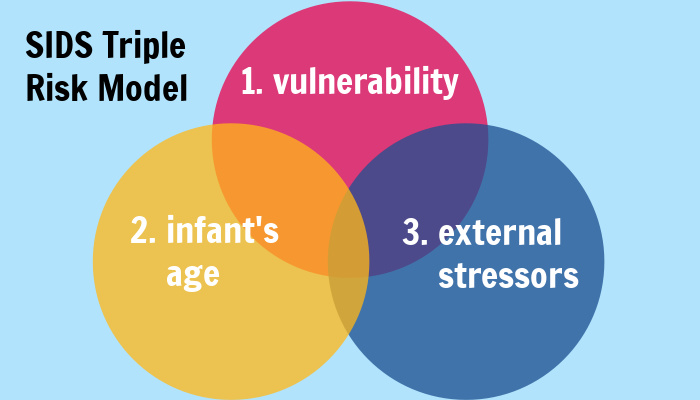 SIDS Triple Risk Model