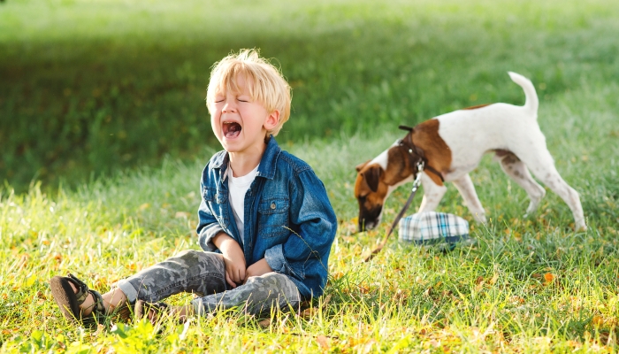 Little boy tantrums during walk.