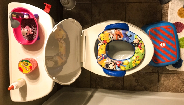 Potty training bathroom with step stool and insert ring.