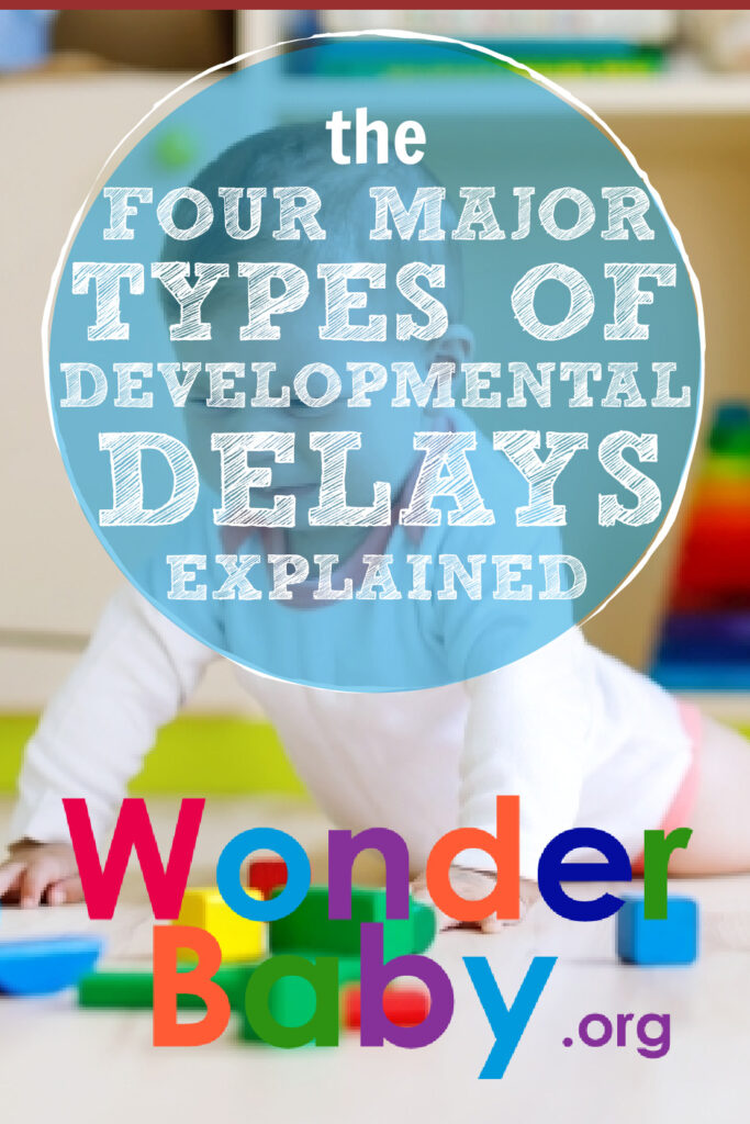 The Four Major Types of Developmental Delays Pin