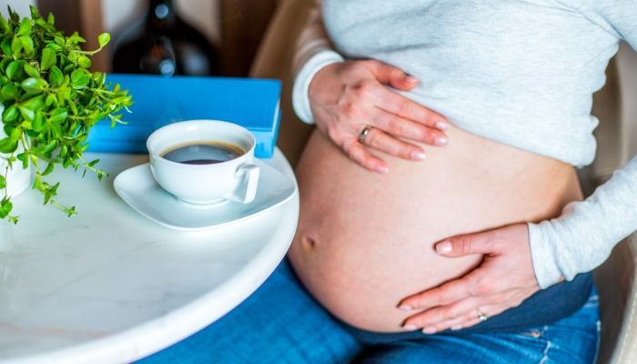 Young beautiful pregnant girl drinking tea in her home during daytime.