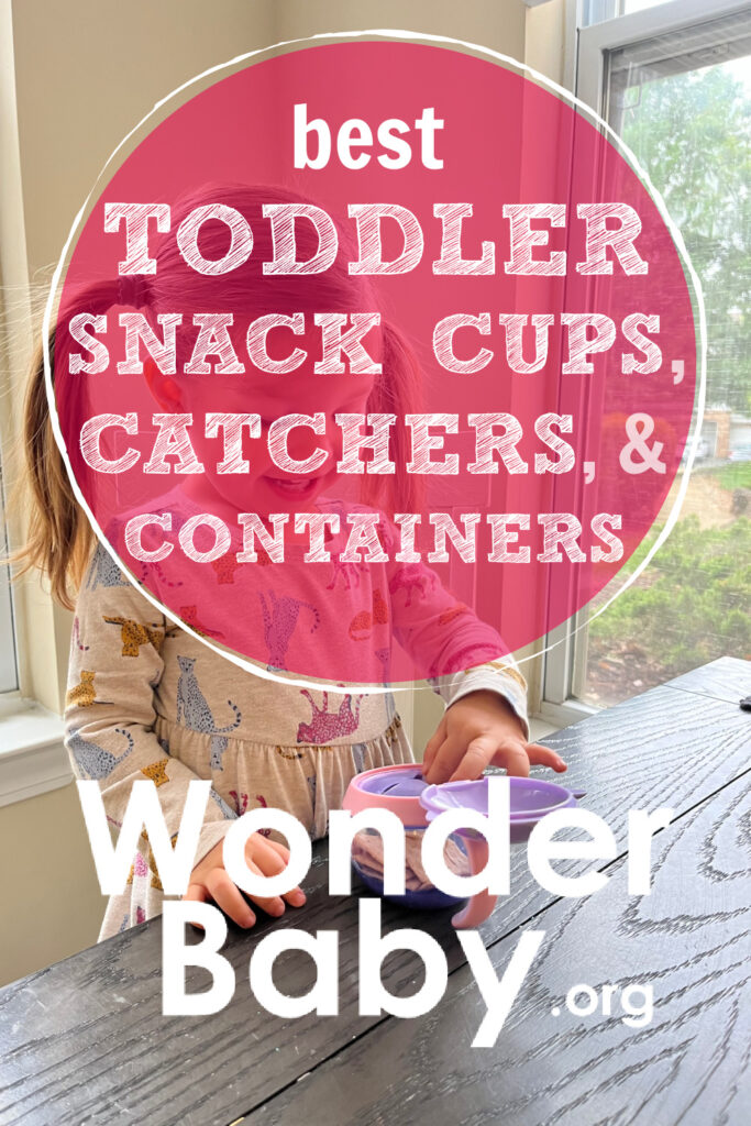 5 Best Toddler Snack Cups, Catchers, and Containers