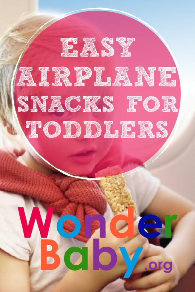 Easy Airplane Snacks for Toddlers