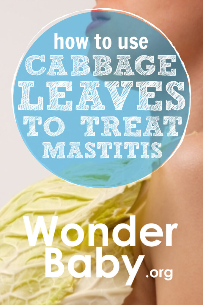 How to Use Cabbage Leaves to Treat Mastitis