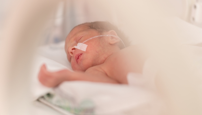Premature newborn baby girl in the hospital incubator after c-section in 33 week.