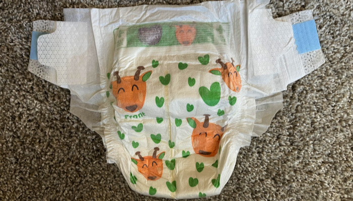 Parent's Choice Diapers
