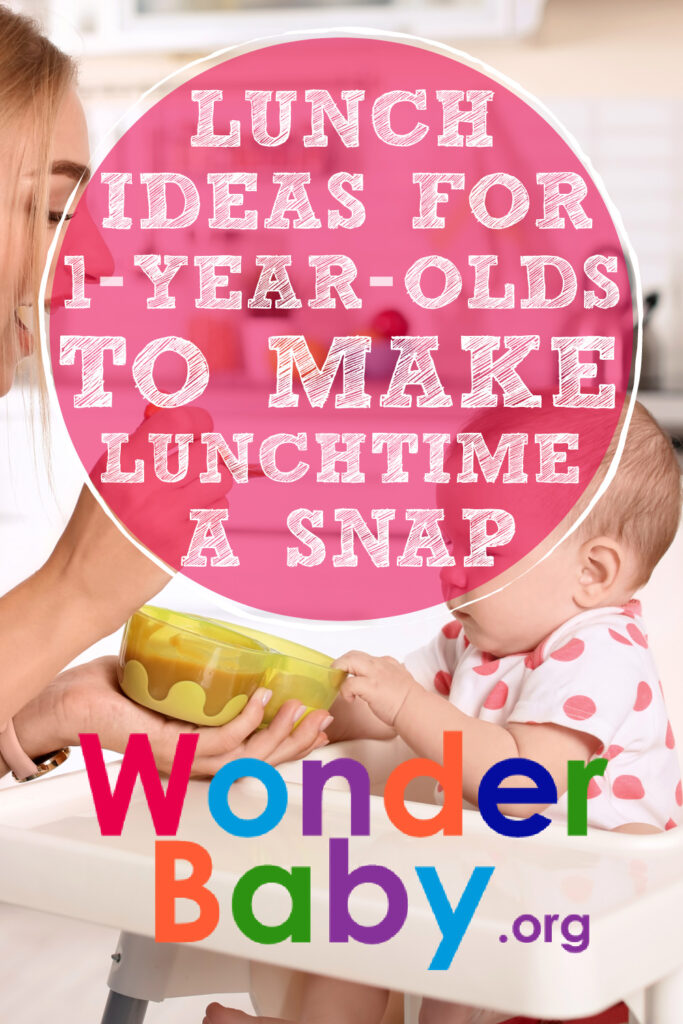 Self-Feeding Daycare Lunch Ideas for One Year Olds