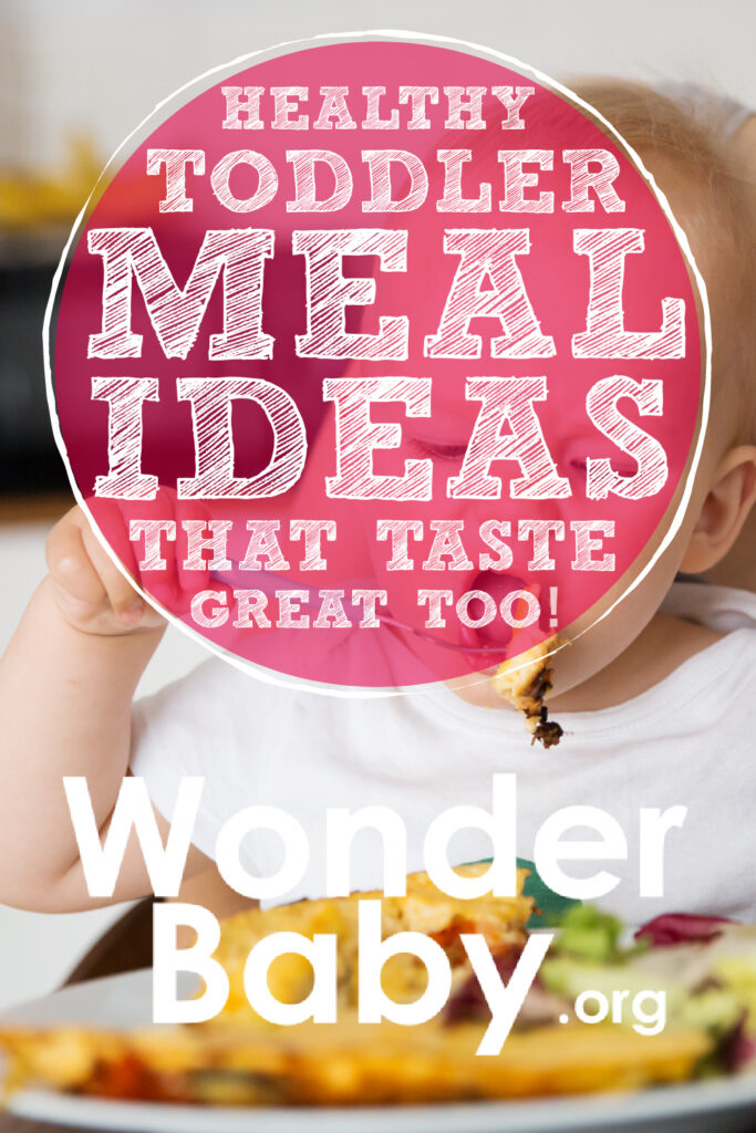 Healthy Toddler Meal Ideas That Taste Great Too!