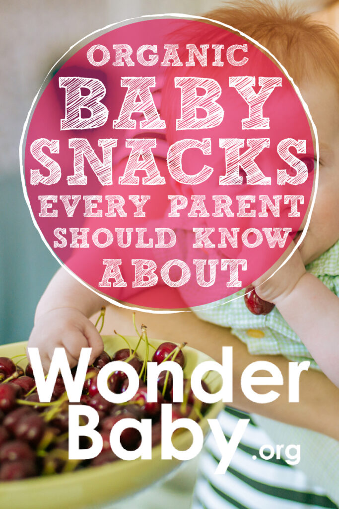 Organic Baby Snacks Every Parent Should Know About