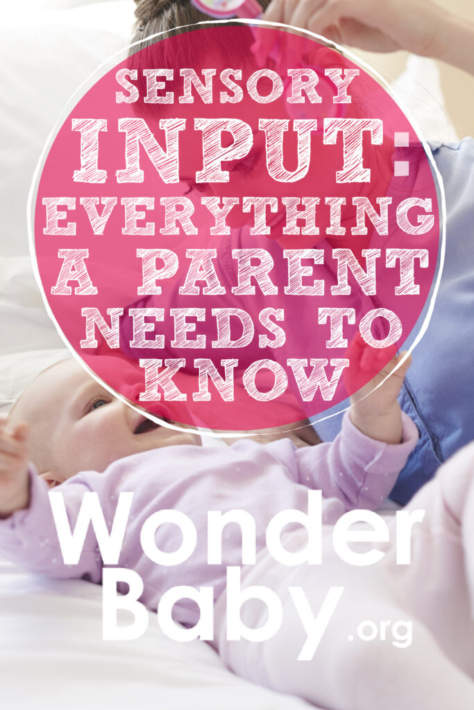 Sensory Input: Everything a Parent Needs to Know