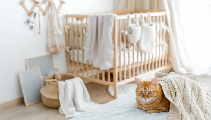 A cat next to a crib under a plaid.