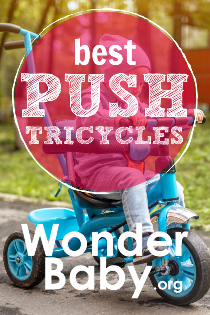 Best Push Tricycles