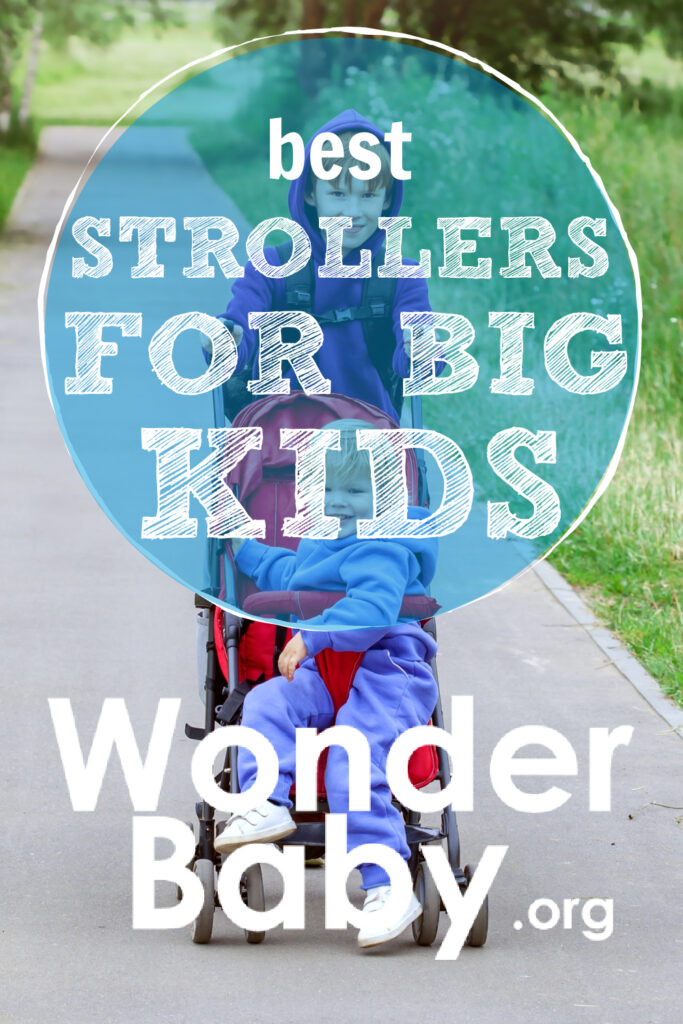 Best Strollers for Big Kids