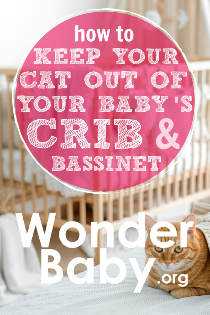 How to Keep Your Cat Out of Your Baby’s Crib & Bassinet