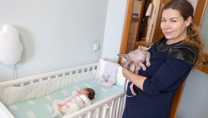 Mother remove cat from children crib for keep sleeping newborn baby, sphynx prevents infant sleep.