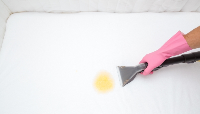 Employee hand in protective rubber glove cleaning and removing fresh stain from white mattress with professionally extraction method.