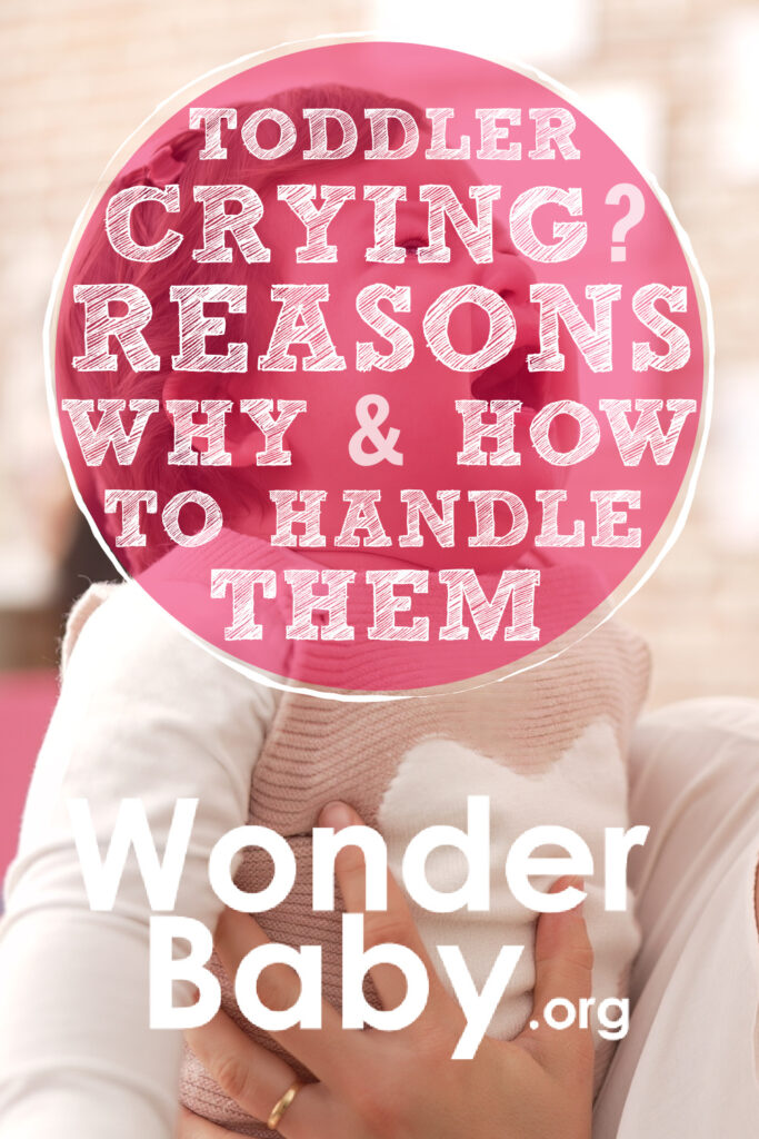 Toddler Crying? 6 Reasons Why and How to Handle Them