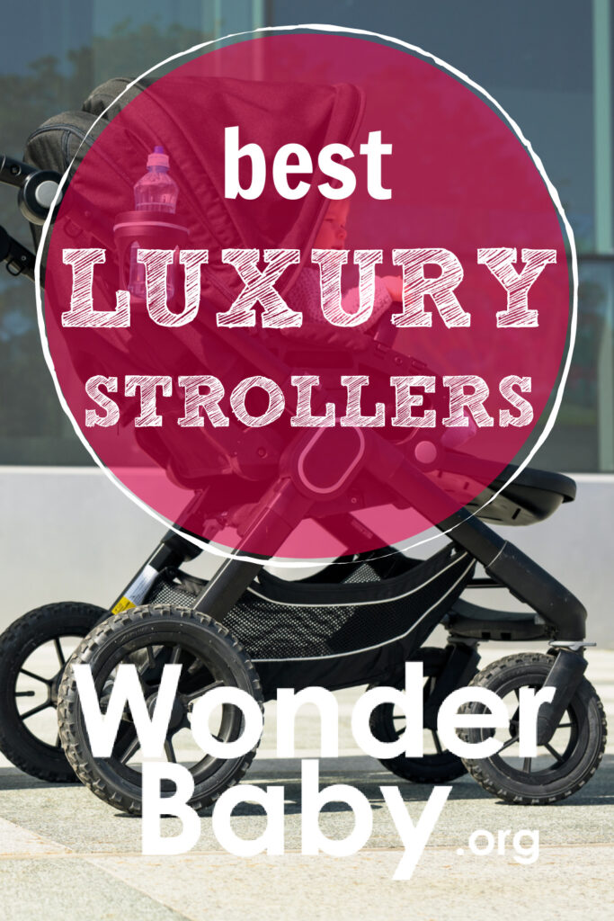 Best Luxury Strollers
