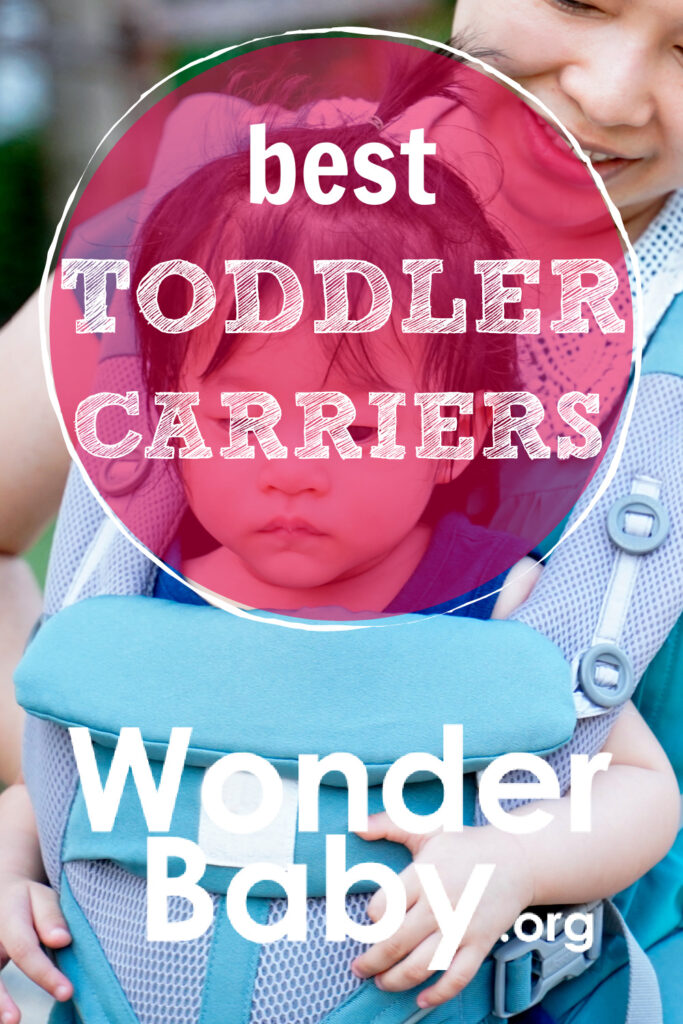 Best Toddler Carriers