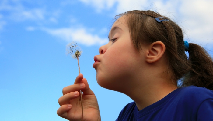 Little girl blowing dandelion on background of the blue sky.