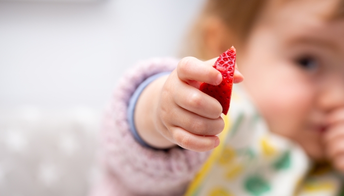 Macro close up of baby hand with a piece of fruits sitting in child’s chair kid eating healthy food.