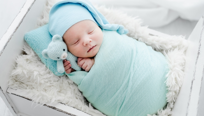 Newborn baby child swaddled in fabric sleeping and holding teddy bear toy.