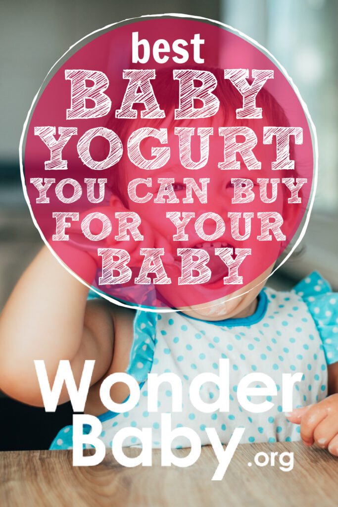 Best Baby Yogurt Brands You Can Buy for Your Baby