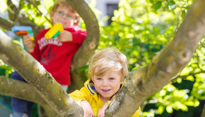 Boys enjoying climbing on tree.