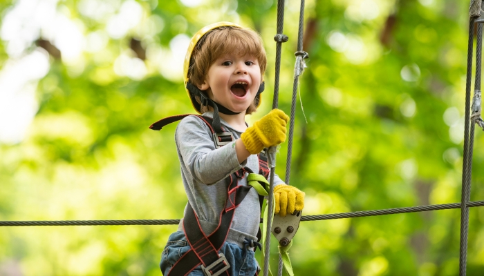 Cargo net climbing and hanging log.