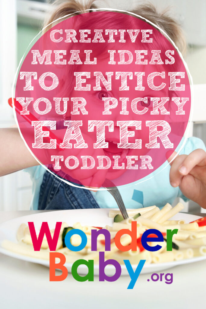 Creative Meal Ideas to Entice Your Picky Eater Toddler