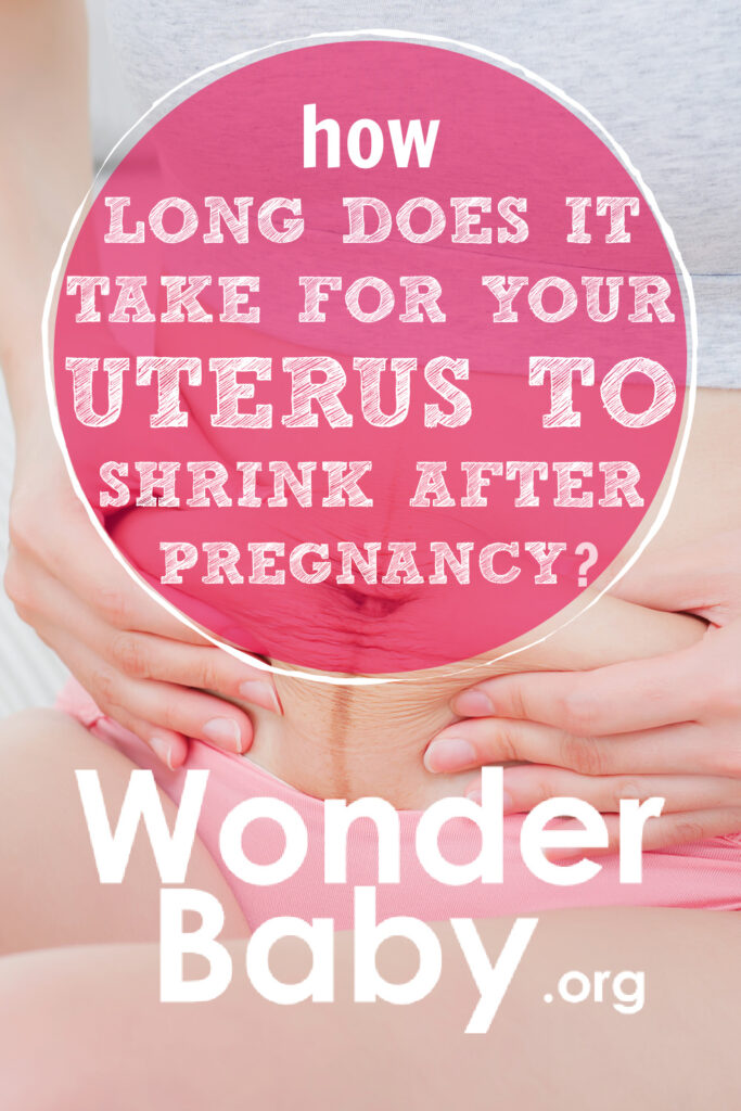 How Long Does It Take for Your Uterus to Shrink After Pregnancy?