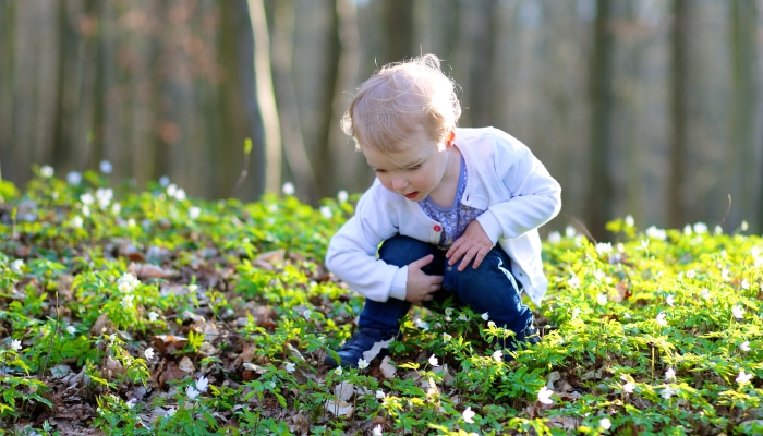 Toddler girl enjoying nature hunting.