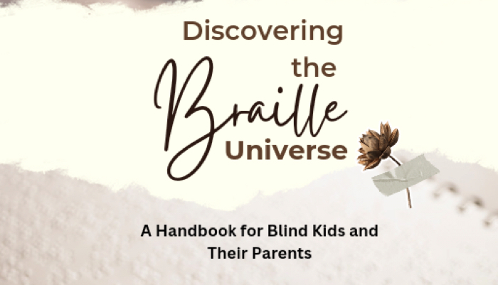 Discovering the Braille Universe