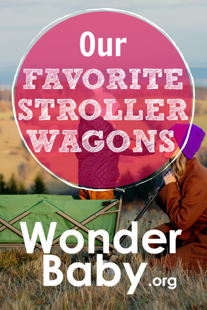 Our Favorite Stroller Wagons