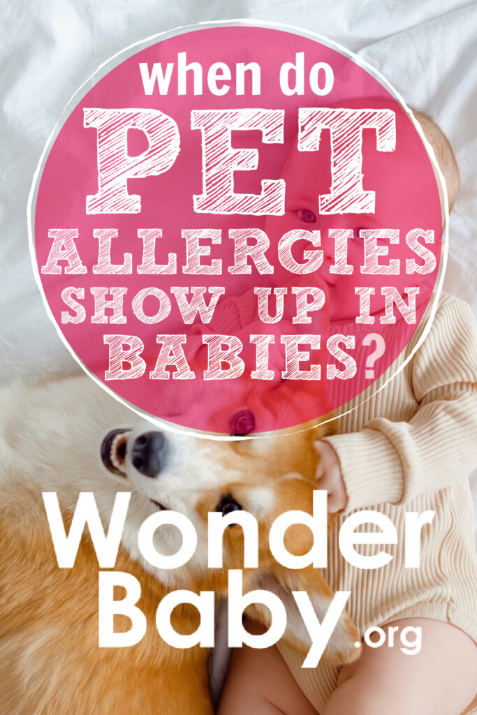 When Do Pet Allergies Show Up in Babies?