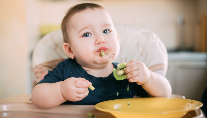 Little girl on a high chair eating kiwi.