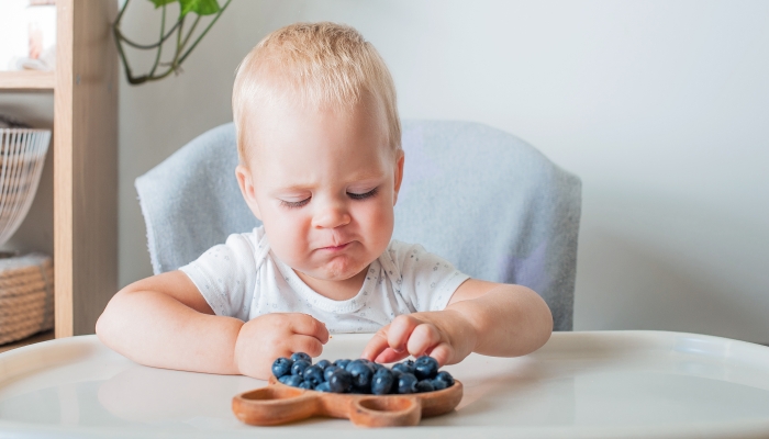 Toddler boy eating yummy blueberries.