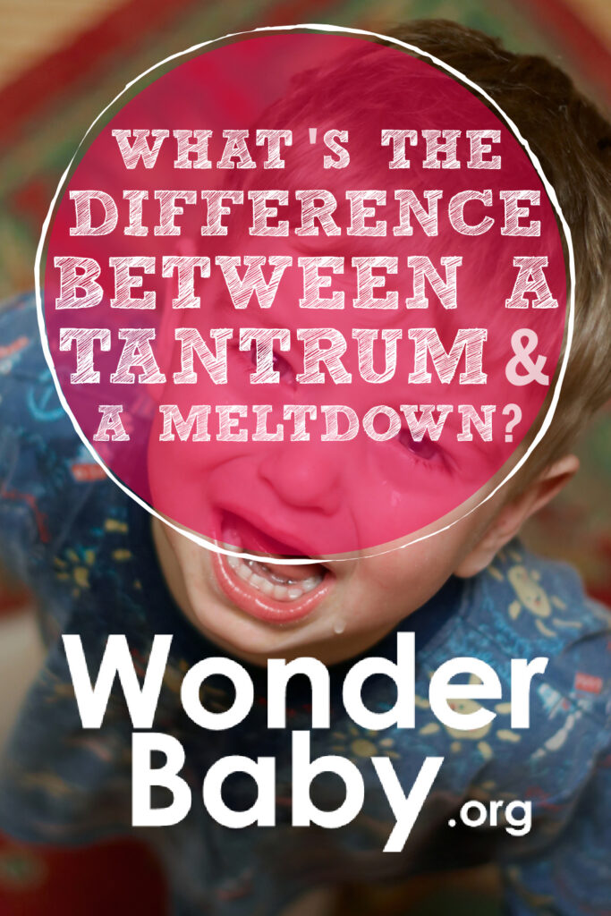 What's the Difference Between a Tantrum and a Meltdown?