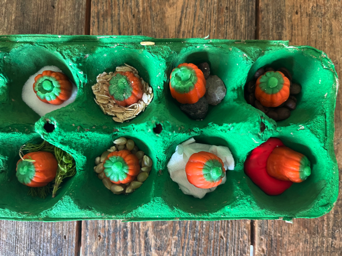 Pumpkin sensory play.