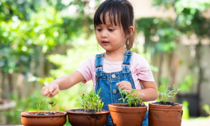 Adorable 3 years old asian little girl pointing and looking the plant in the pots of the garden outside the house.