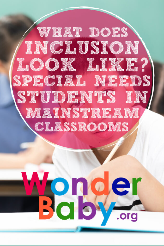 What Does Inclusion Look Like? Special Needs Students in Mainstream Classrooms