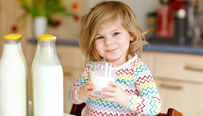 Adorable toddler girl drinking cow milk for breakfast.
