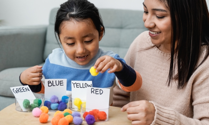 Asian kid playing didactic game with his mom at home.