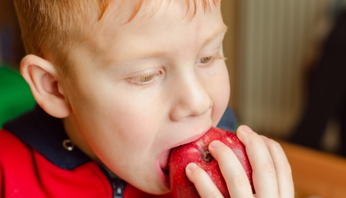 Boy eating an apple, close-up.