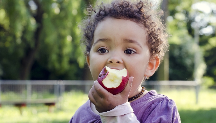 Child girl eating an apple in a park in nature.